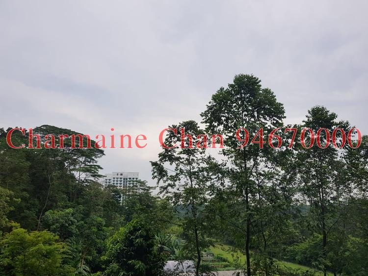 Eco Sanctuary (D23), Condominium #175095862